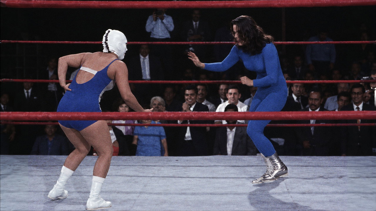 Wrestling Women vs. the Killer Robot