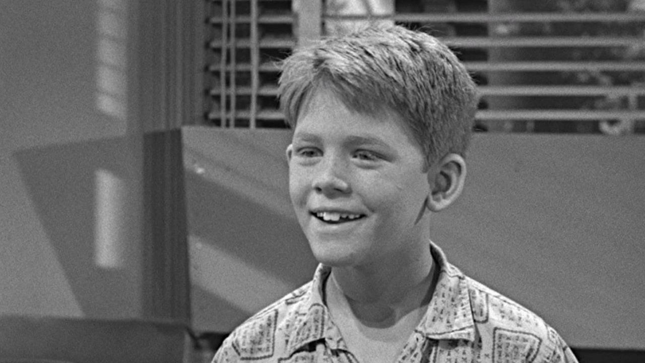 The Andy Griffith Show - Season 5 Episode 9 : Opie's Fortune