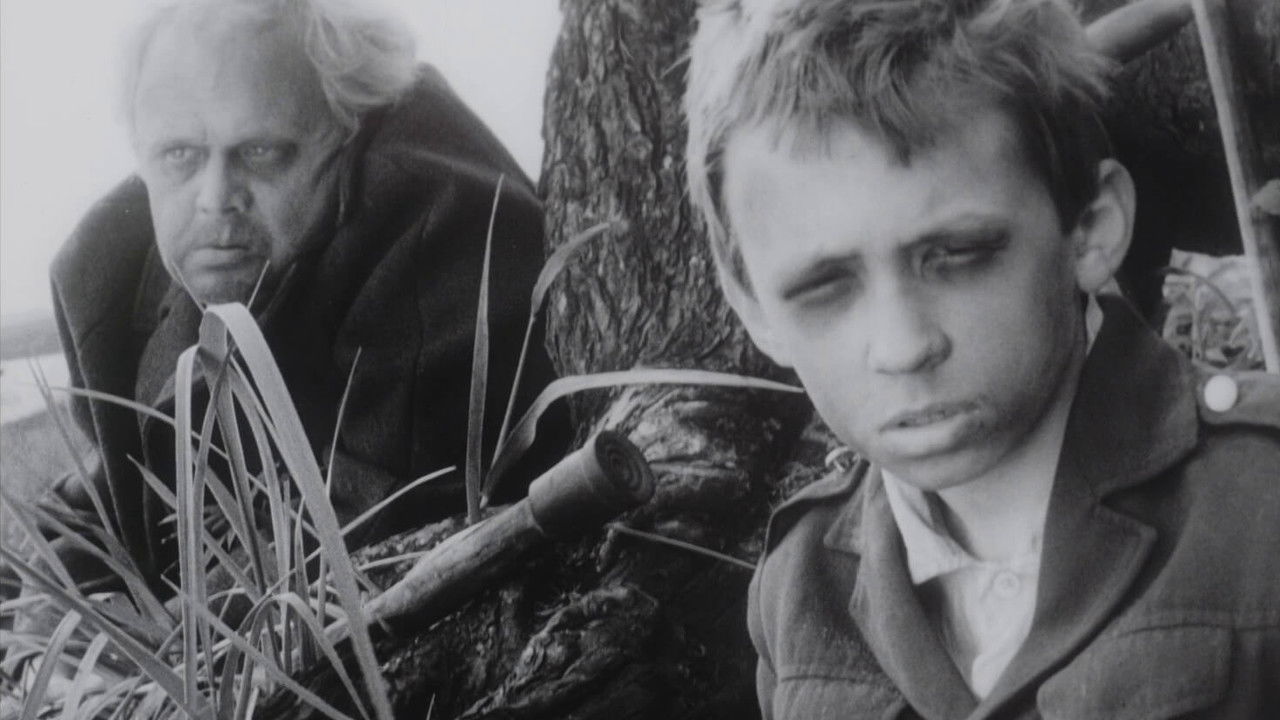 Daddy, Father Frost Is Dead backdrop