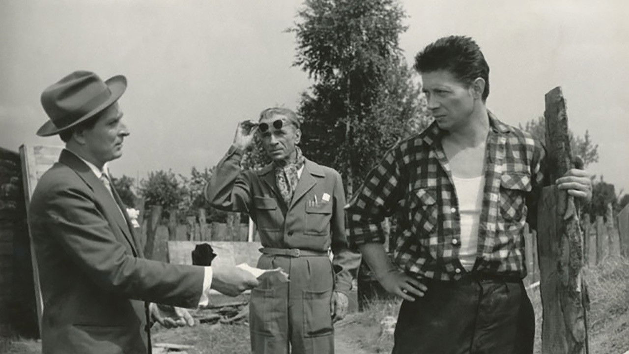 Szczęściarz Antoni backdrop