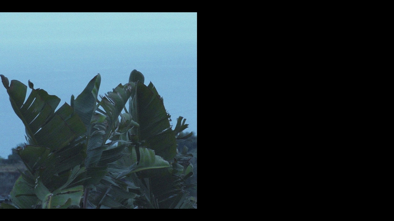 Metonimia still 9