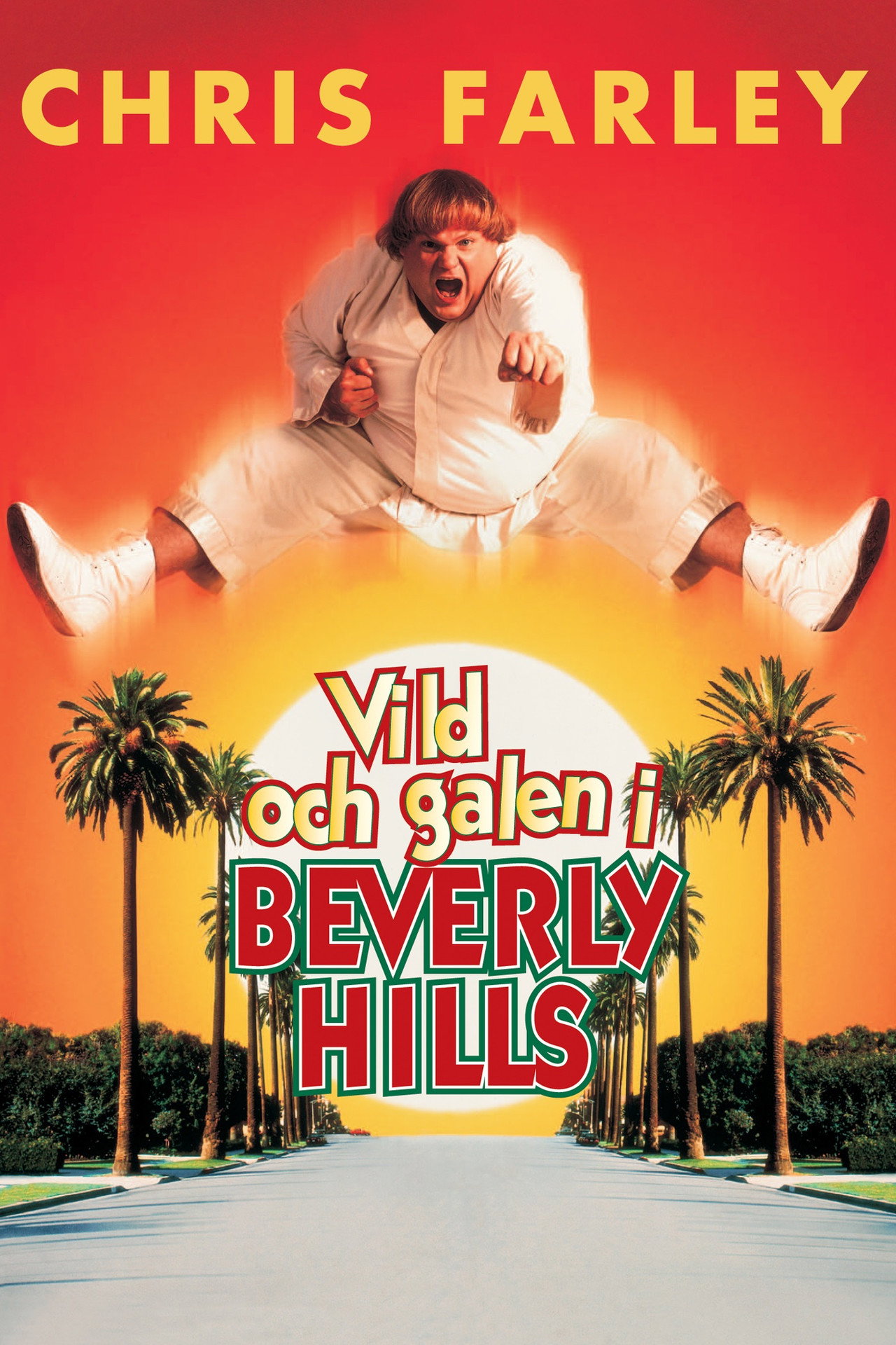 Vild och galen i Beverly Hills filmaffisch