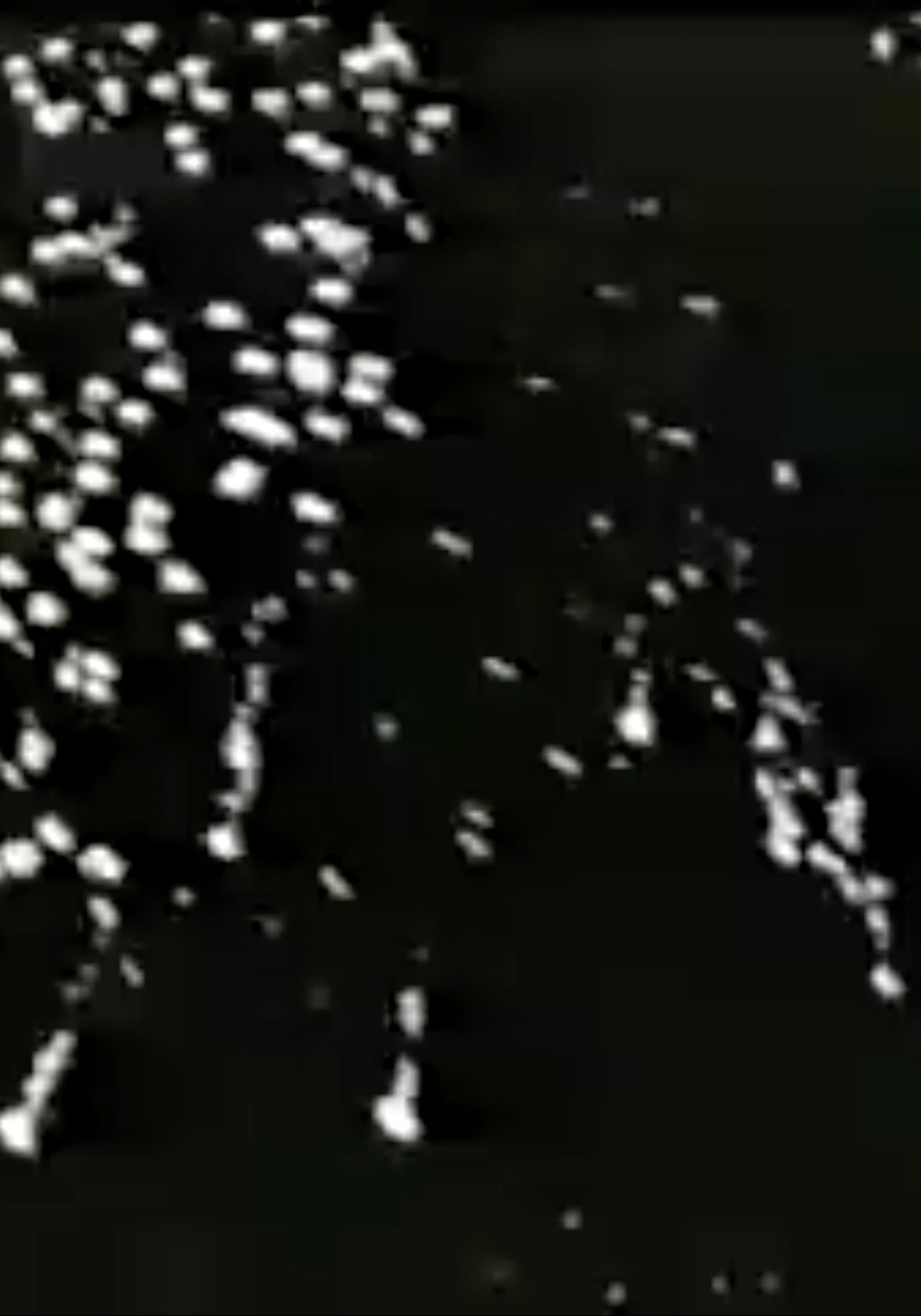 Sternenschauer filmaffisch