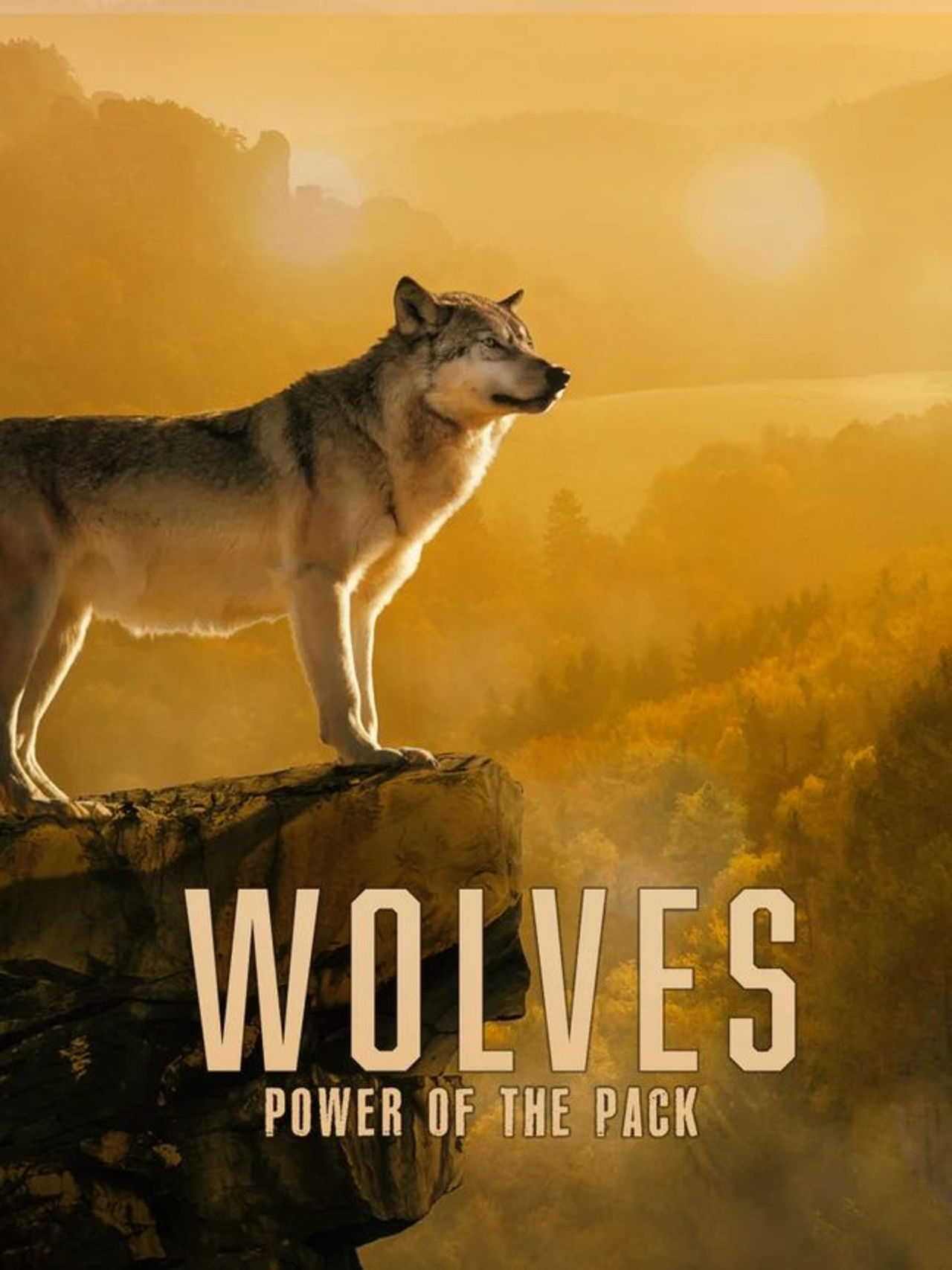 Wolves: Power of the Pack poster