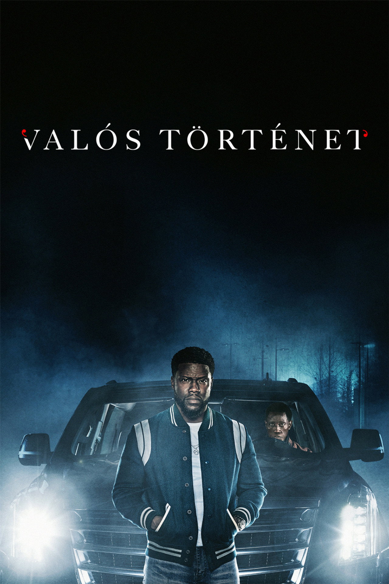 Valós történet – plakát 6
