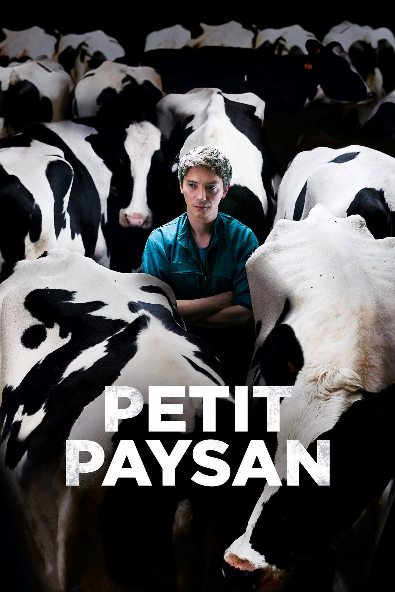 Petit Paysan filmaffisch