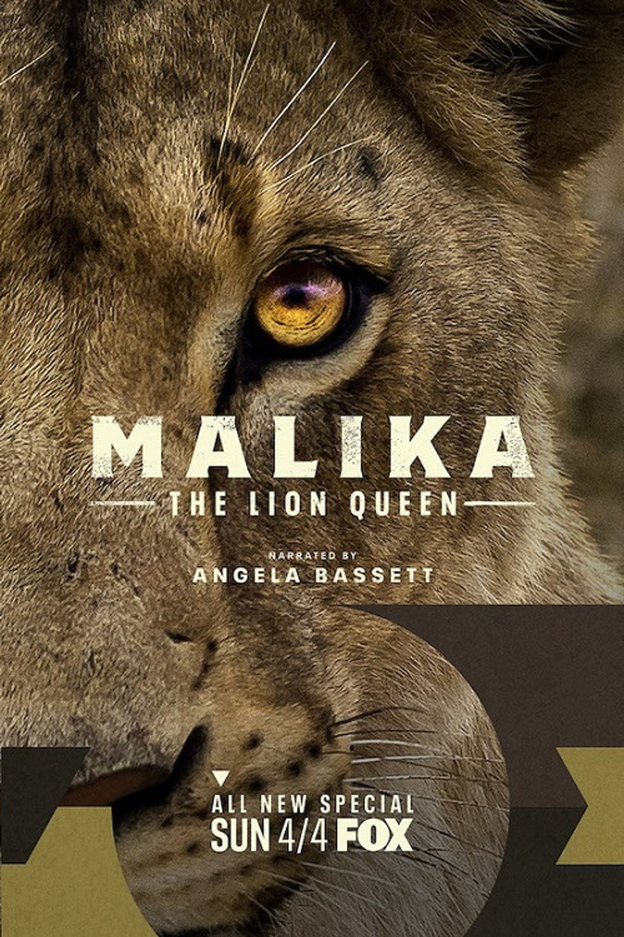 Malika: Az oroszlánkirálynő – plakát 6