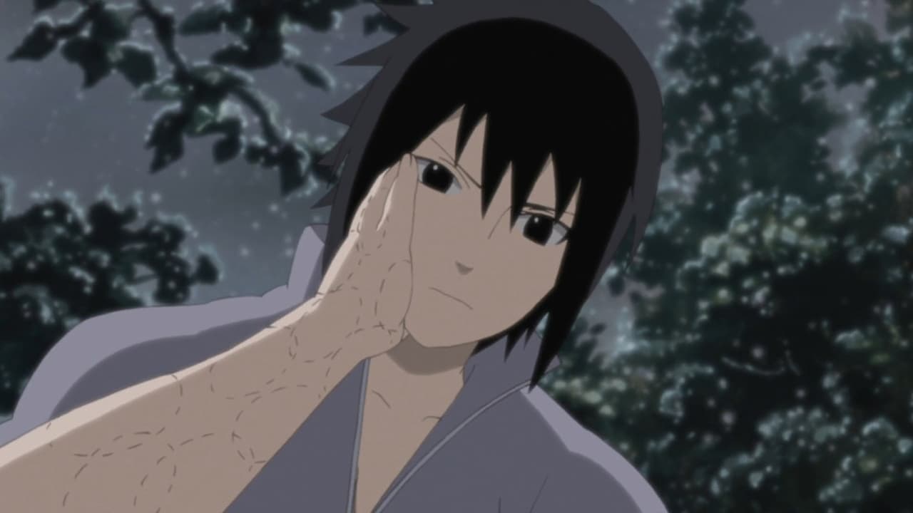 Naruto Shippūden - Season 20 Episode 431 : To See That Smile, Just One More Time