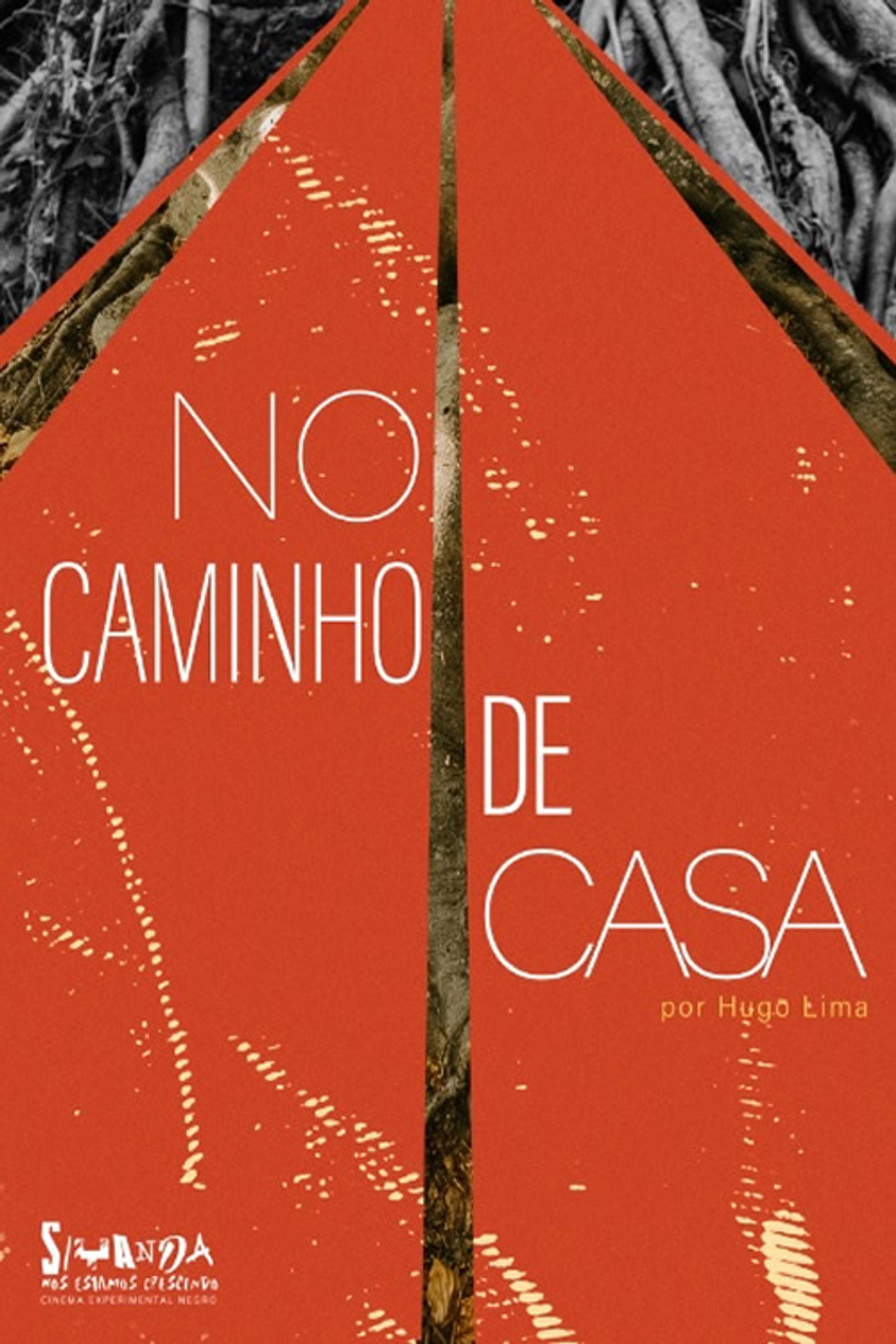 No Caminho de Casa