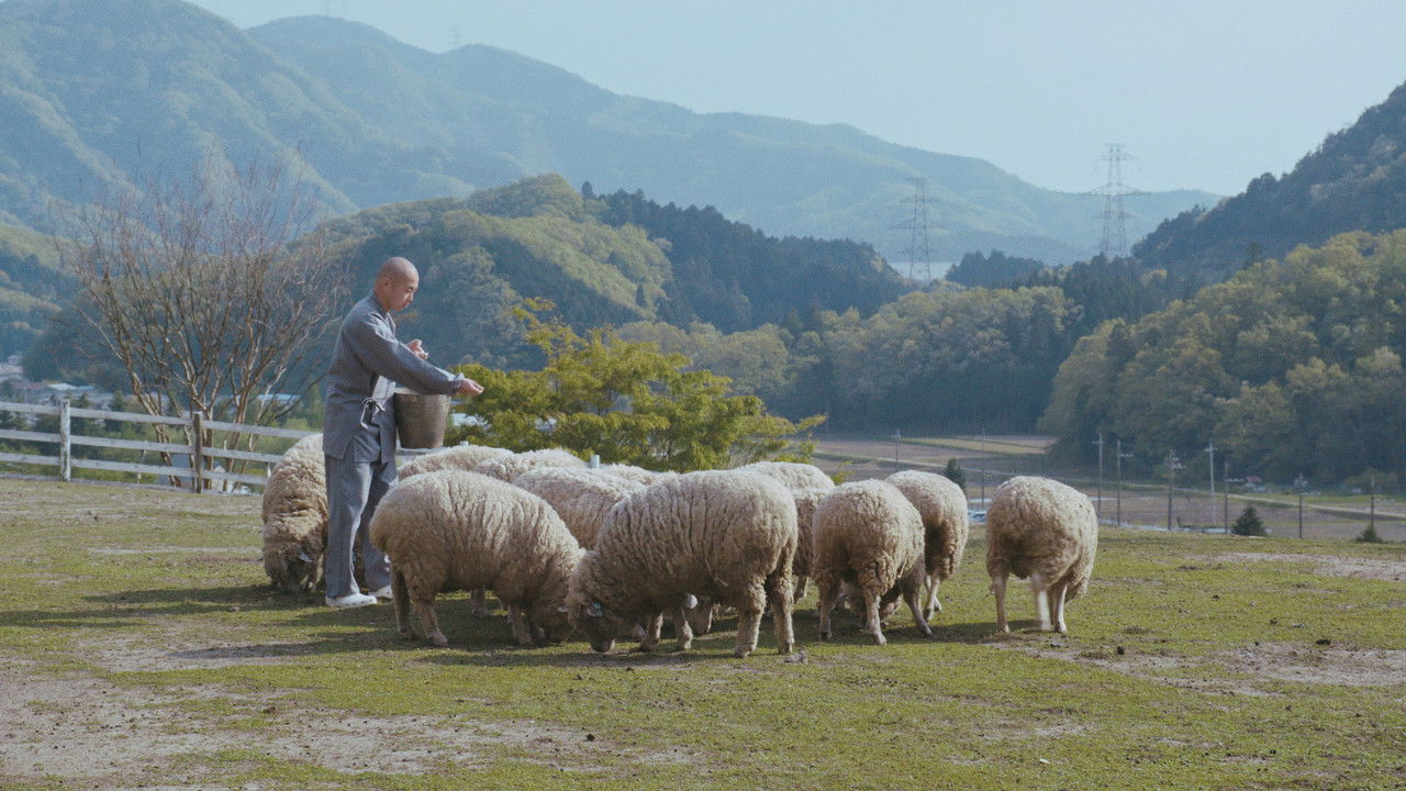 Crows Are White backdrop