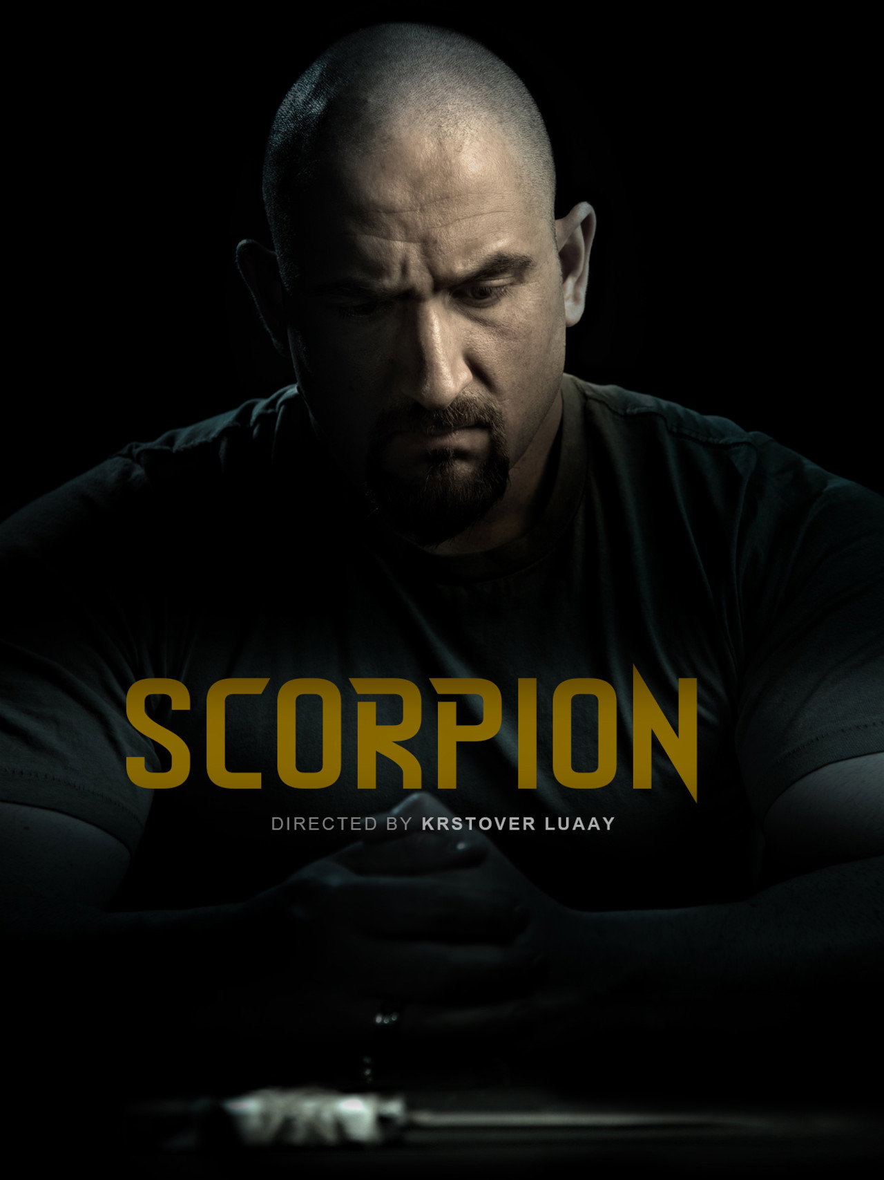 Scorpion poster