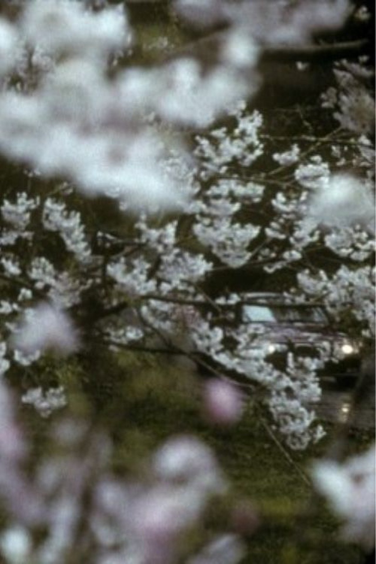 Winter (2008)