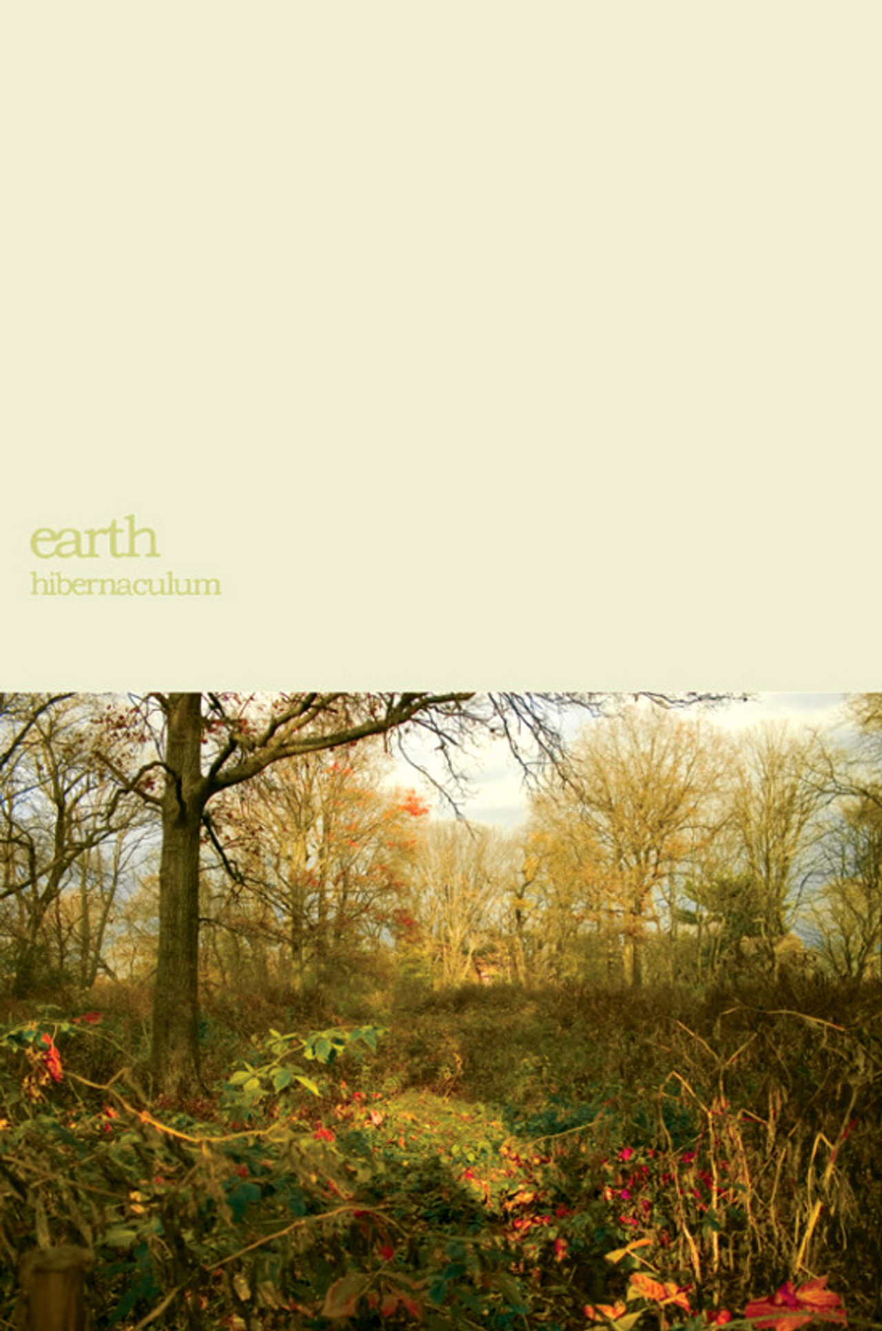 Earth: Within the Drone Backdrop
