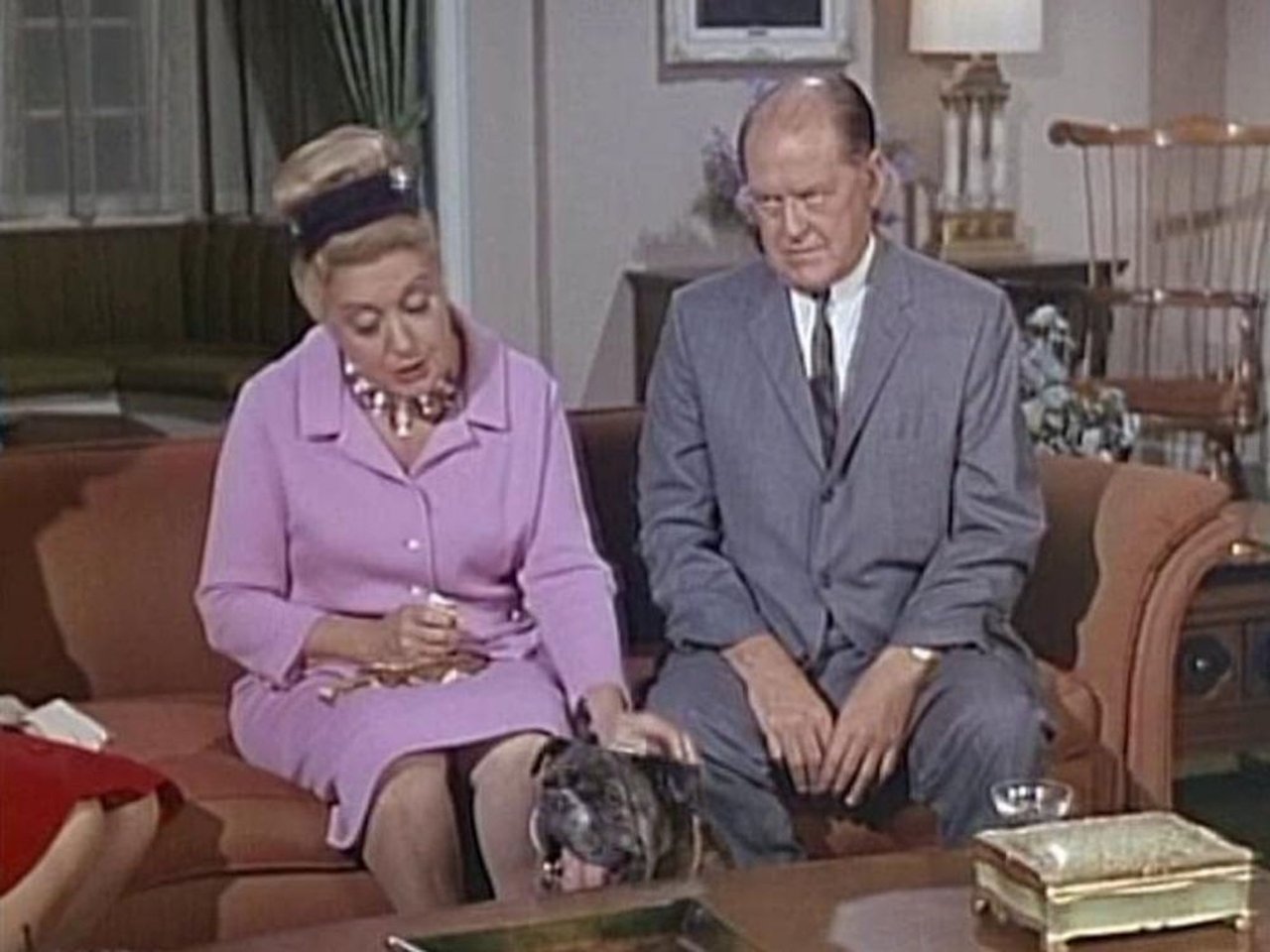 Hazel - Season 4 Episode 17 : It's a Dog's Life (a.k.a) It's a Dog's World