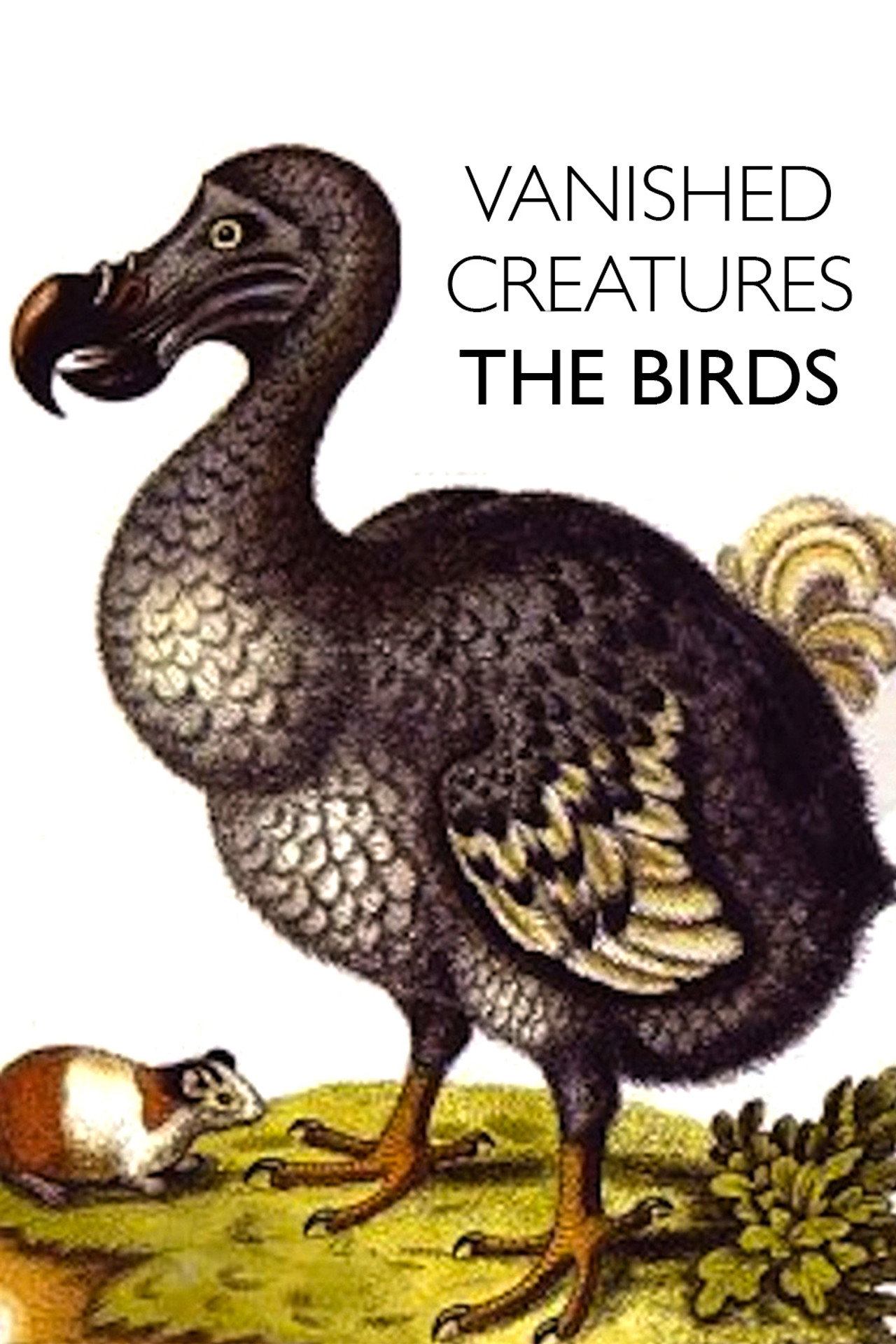 Vanished Creatures: The Birds Backdrop