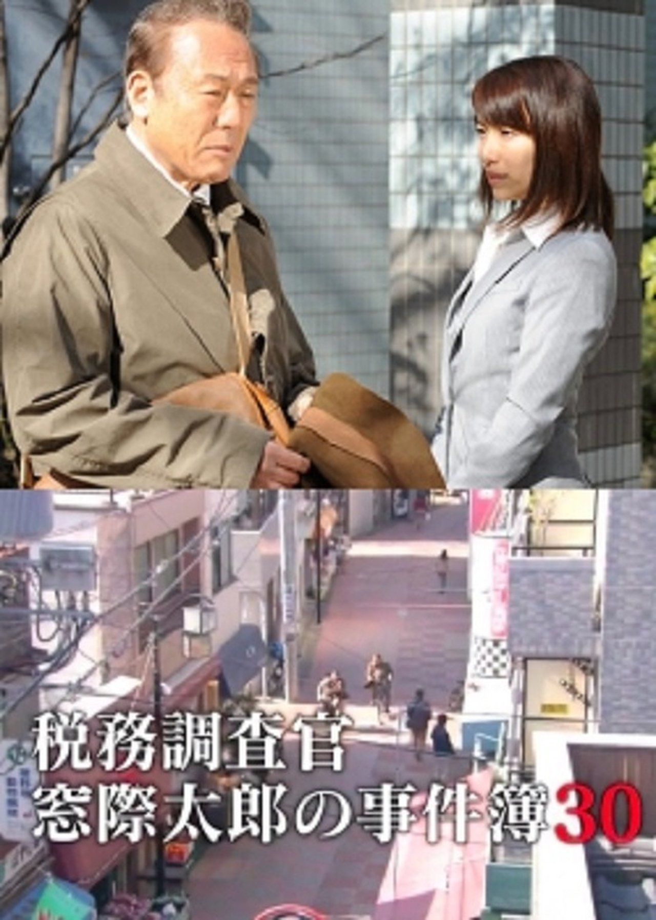 税務調査官・窓際太郎の事件簿30 税務調査官・窓際太郎の事件簿30