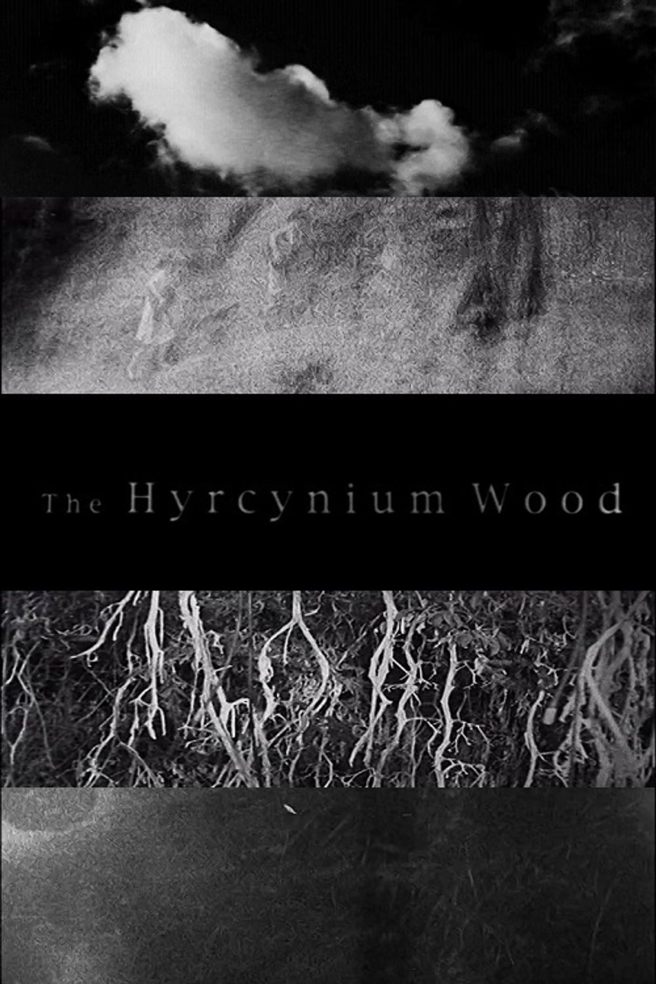 The Hyrcynium Wood Backdrop