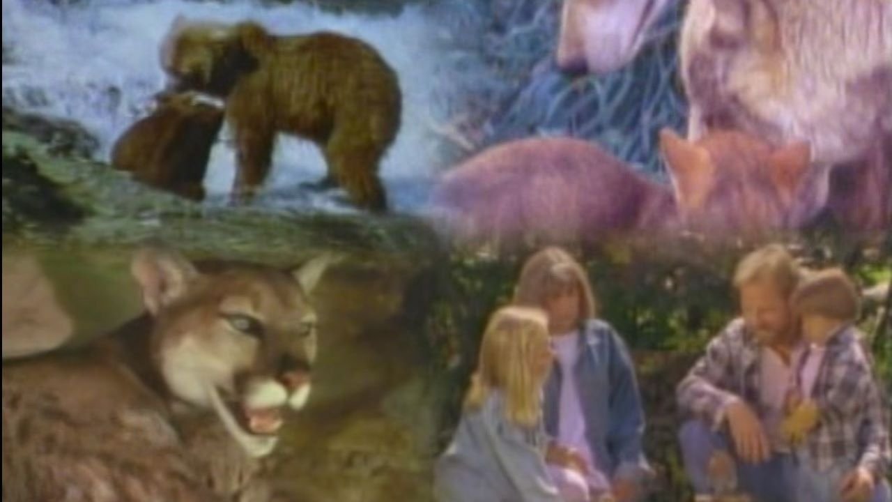 Marty Stouffer's Wild America