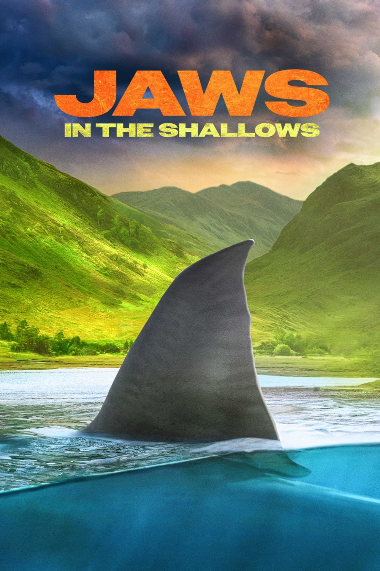 Tiburones en la costa