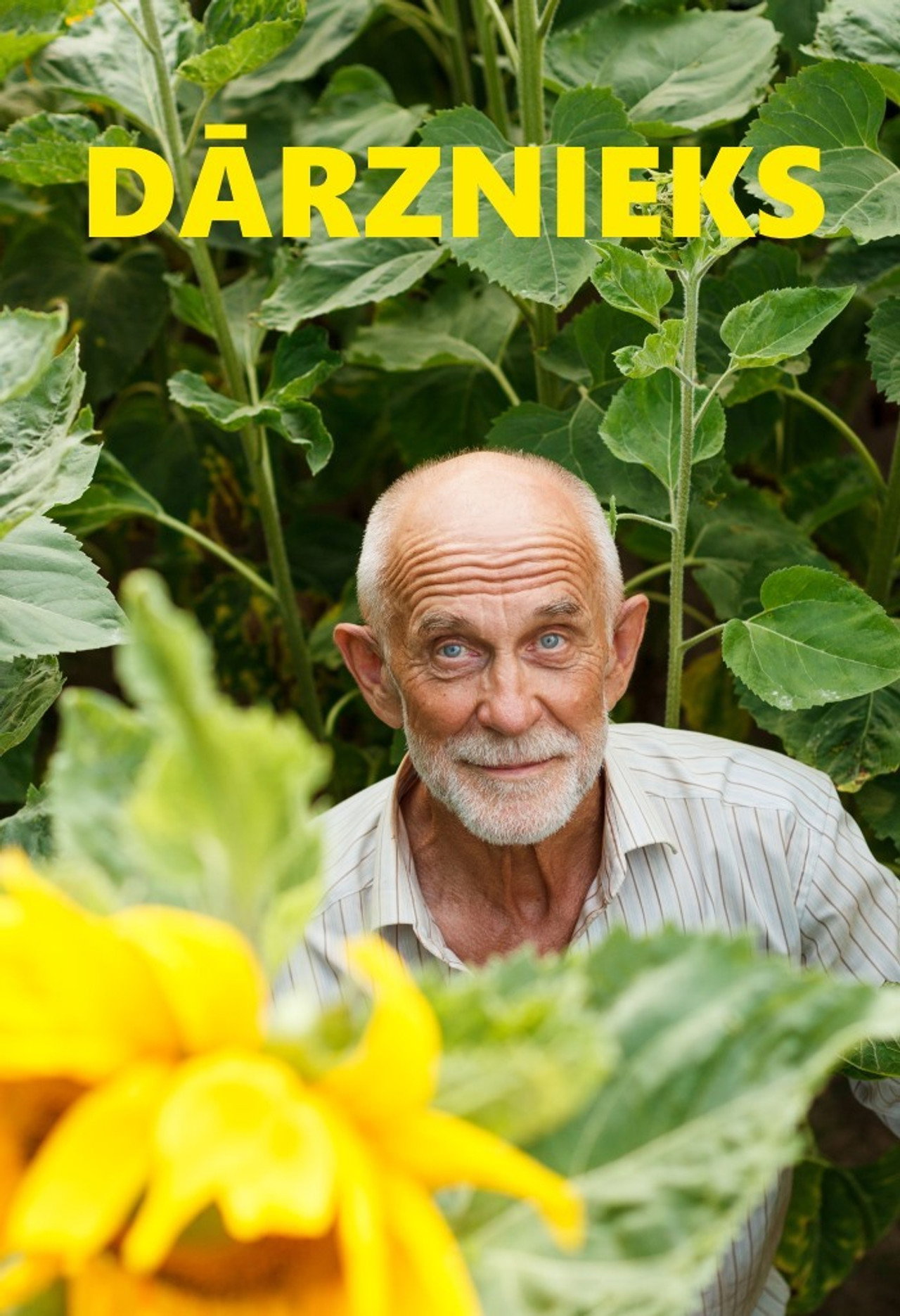 Dārznieks filmaffisch