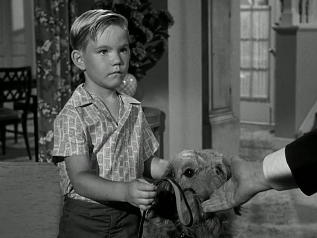 Hazel - Season 1 Episode 14 : Hazel's Dog Days