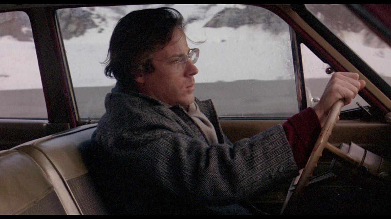 Chilly Scenes of Winter (1979)