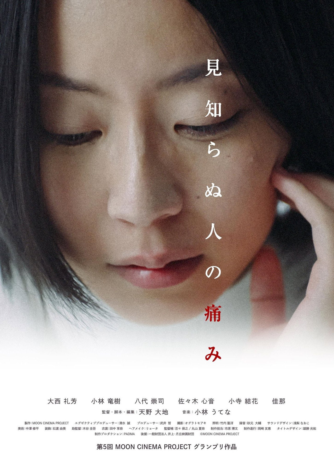 見知らぬ人の痛み filmaffisch