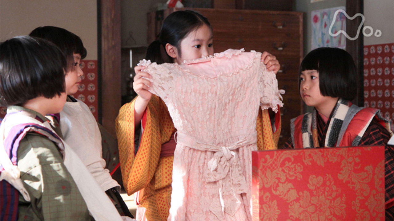 カーネーション backdrop