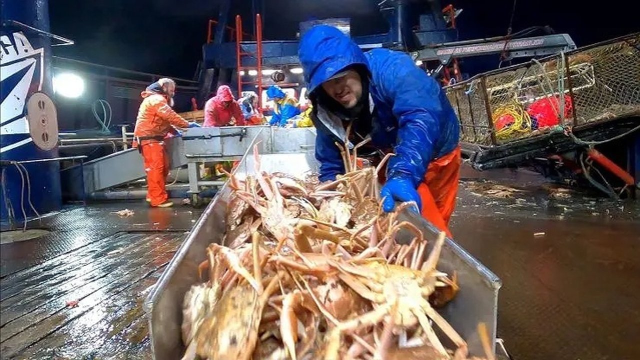 Deadliest Catch - Season 17 Episode 22 : The Ultimate Price