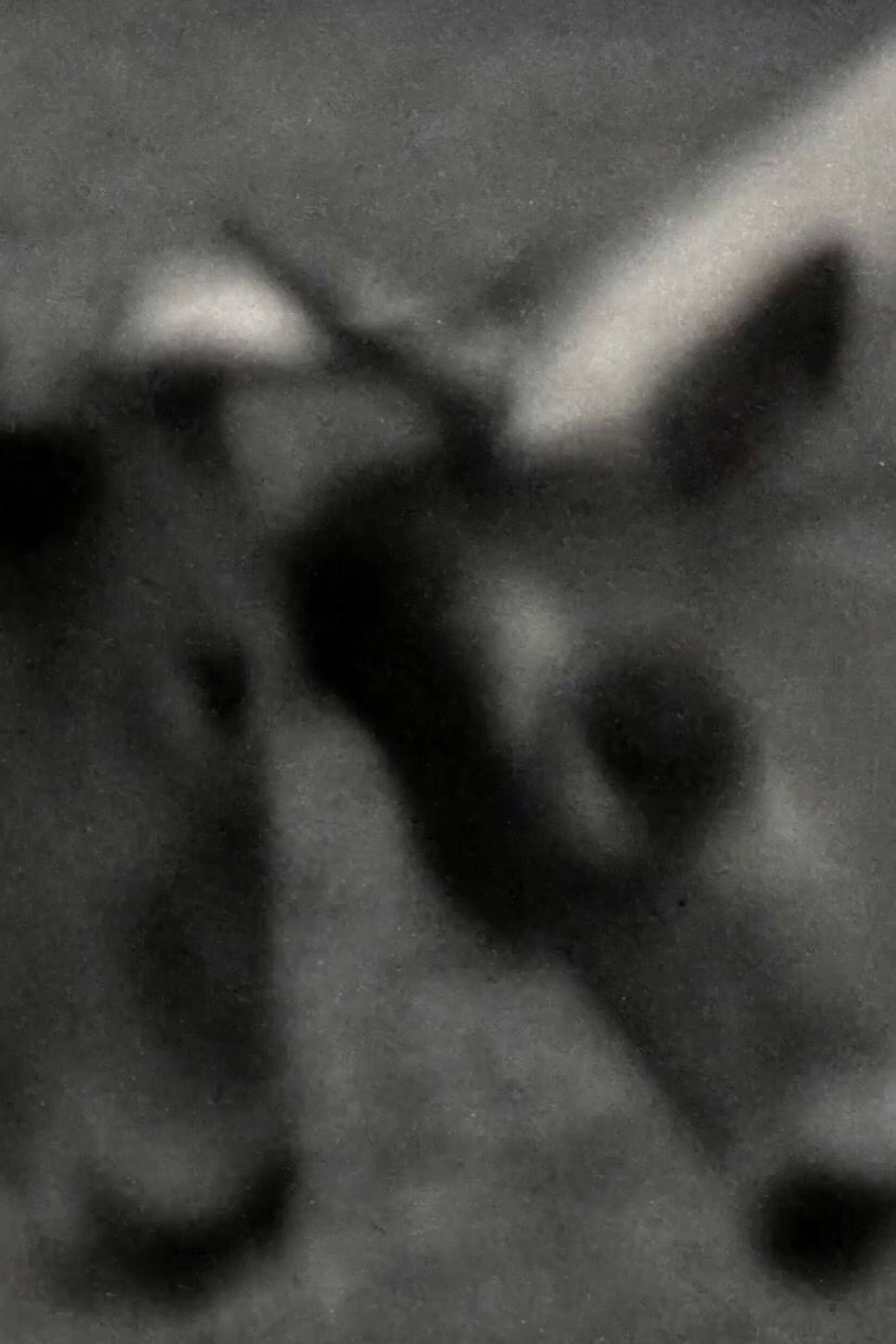 Videogramas #5 filmaffisch