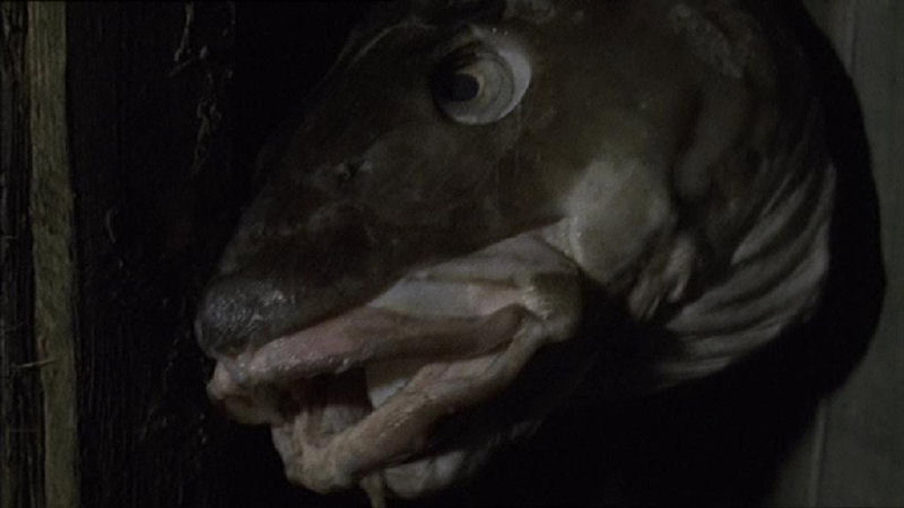 This Filthy Earth backdrop