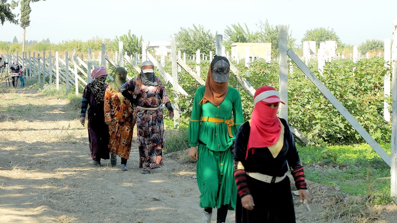 Tevî her tiştî
