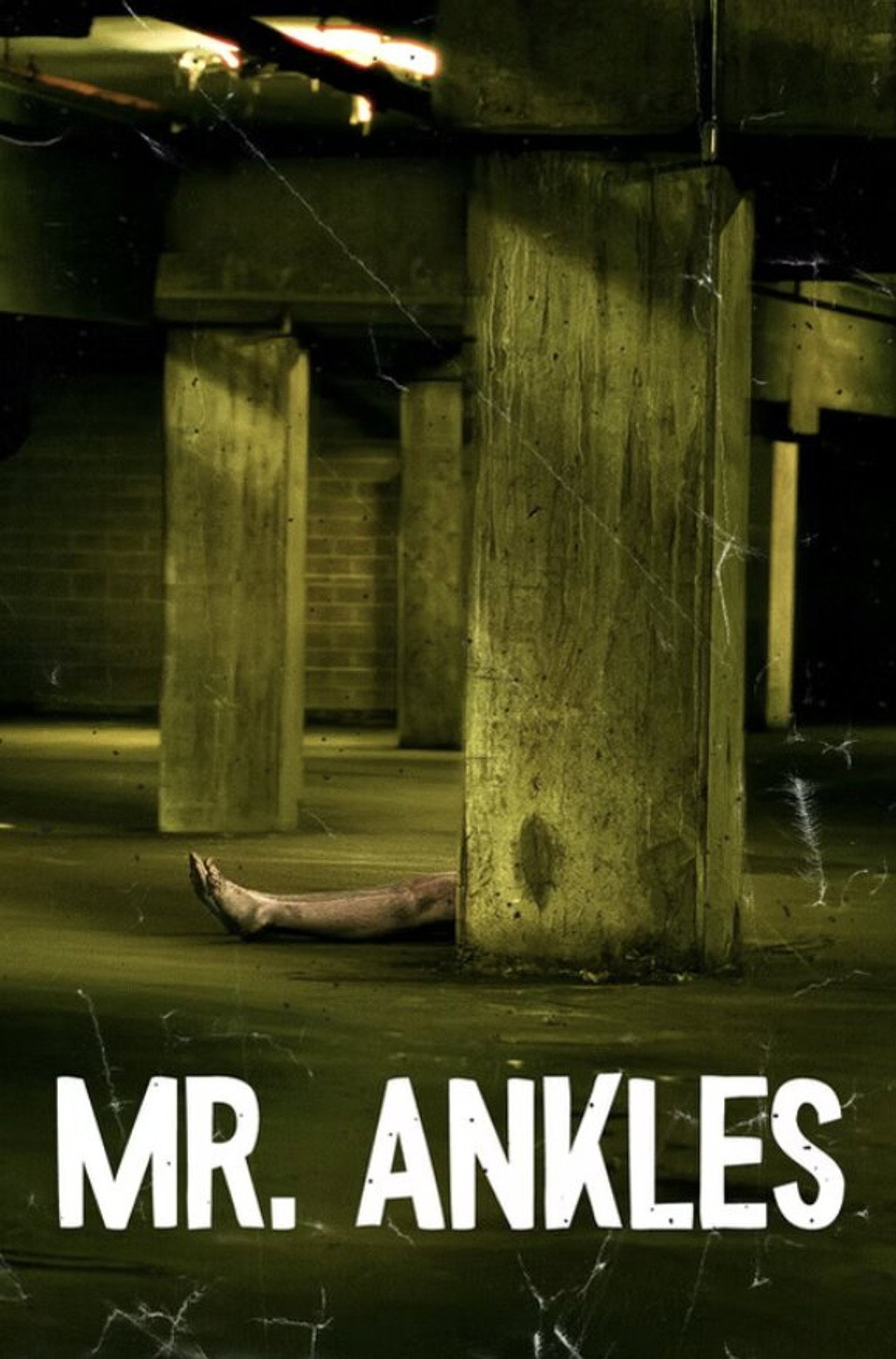 Mr. Ankles Backdrop