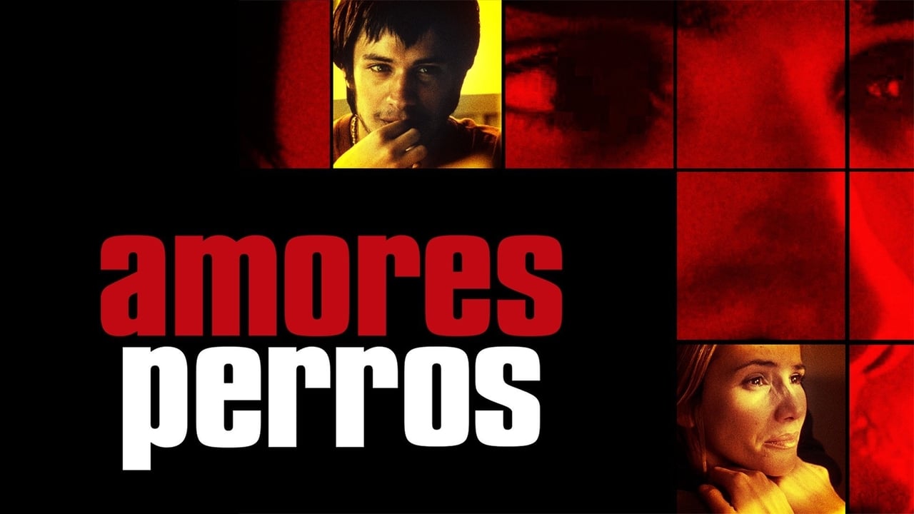 Amores perros background