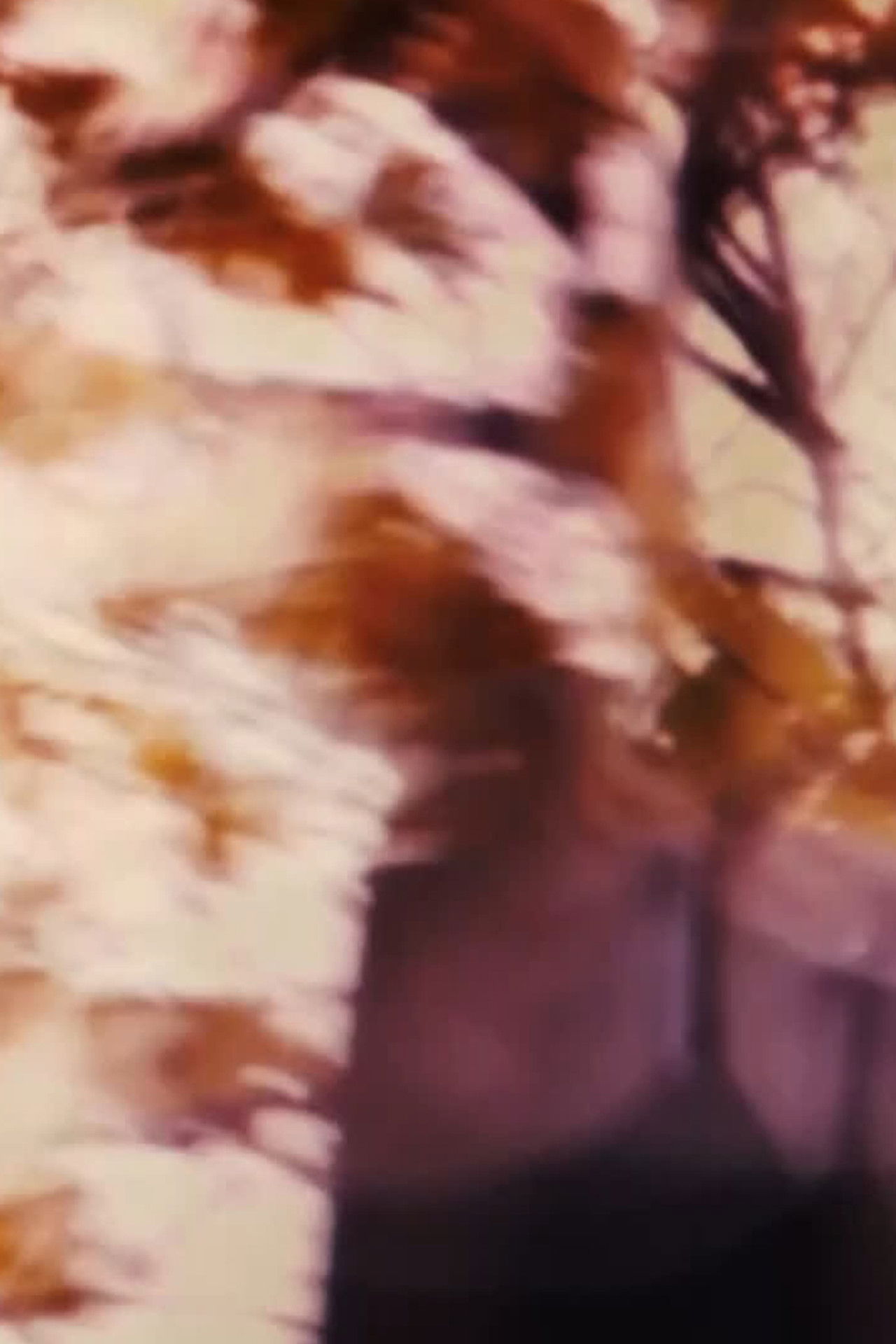 The Driveways of People's Houses Backdrop