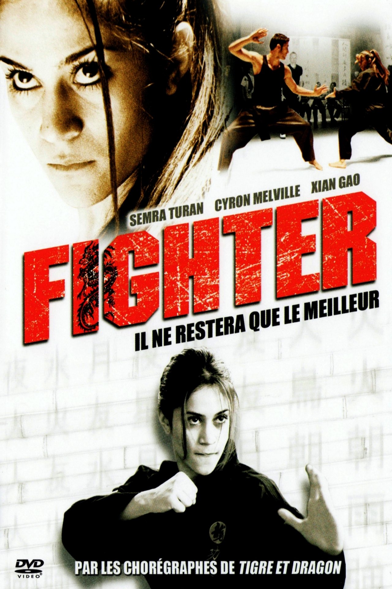 Fighter poster