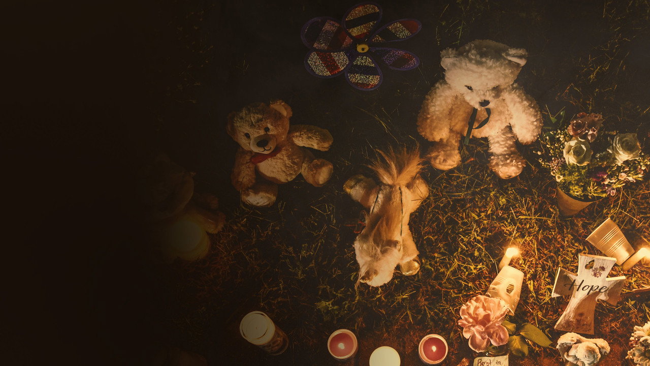 The Murder of Gabby Petito: What Really Happened