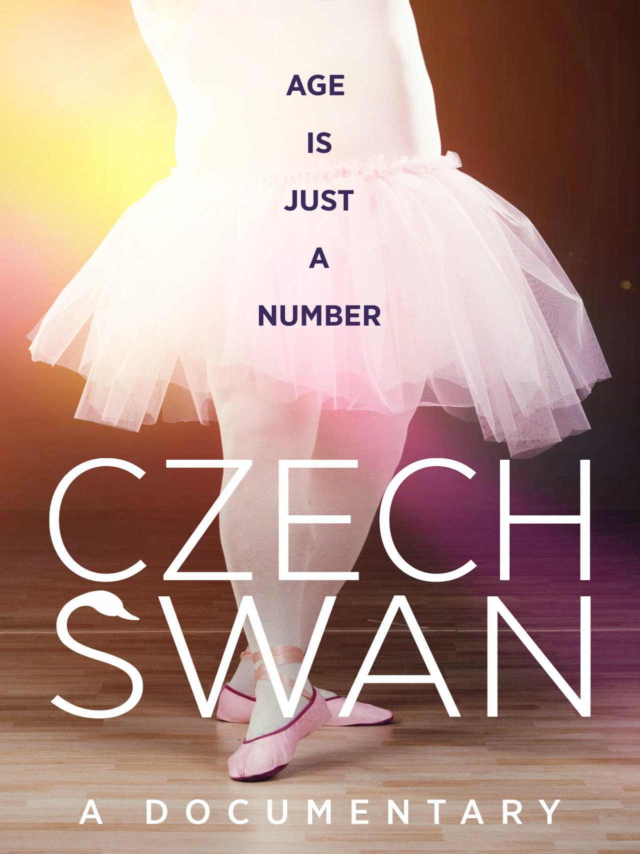 Czeski łabędź filmaffisch