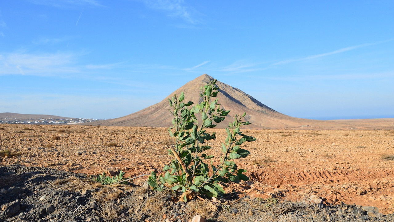 Na cestě — Épisode 15