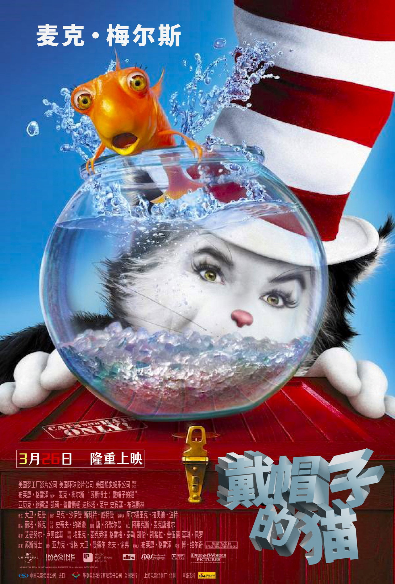 戴帽子的猫
