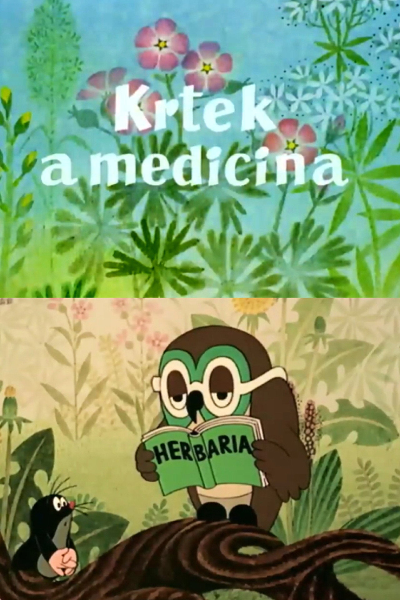 Krtek a medicína filmaffisch