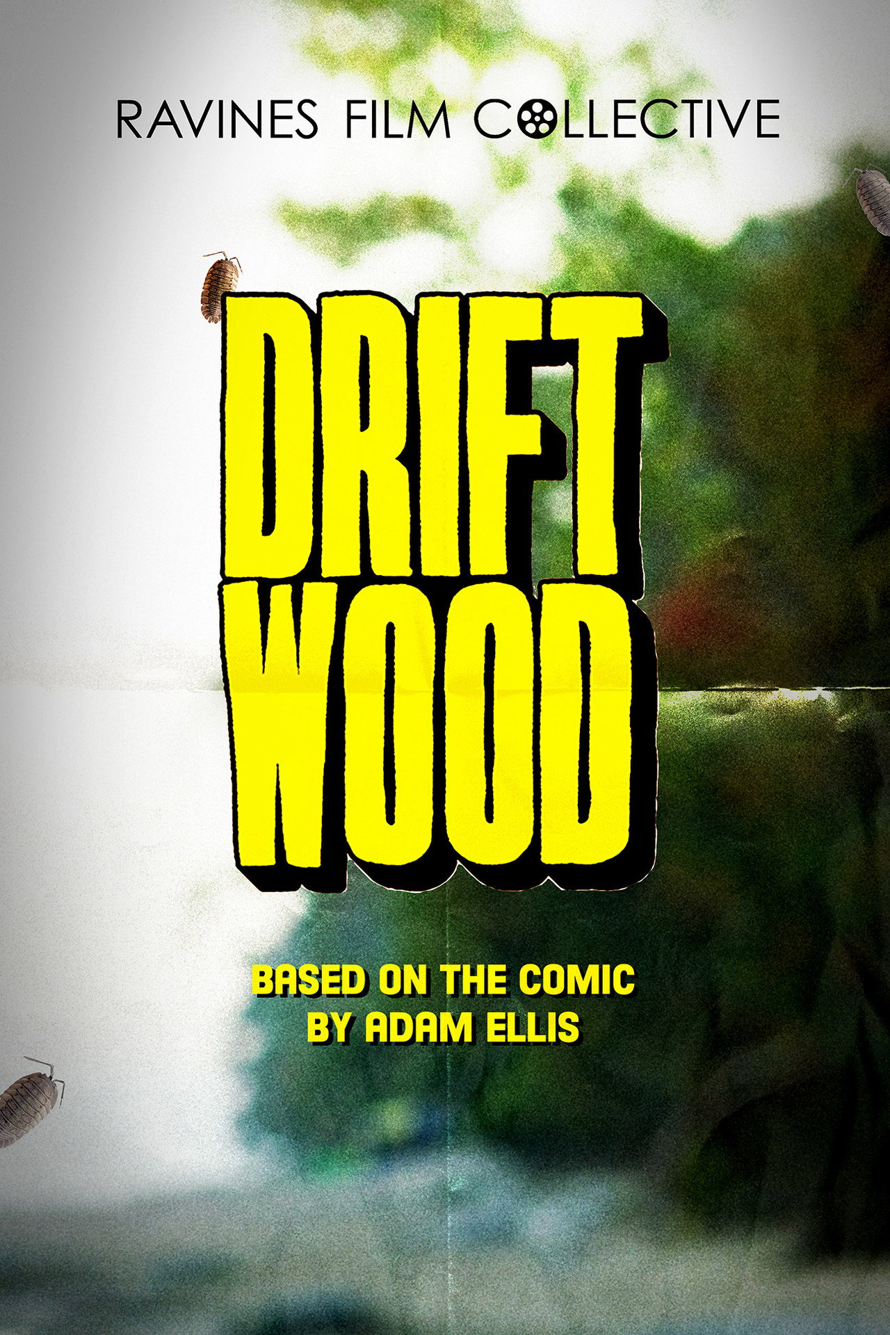 Driftwood Backdrop