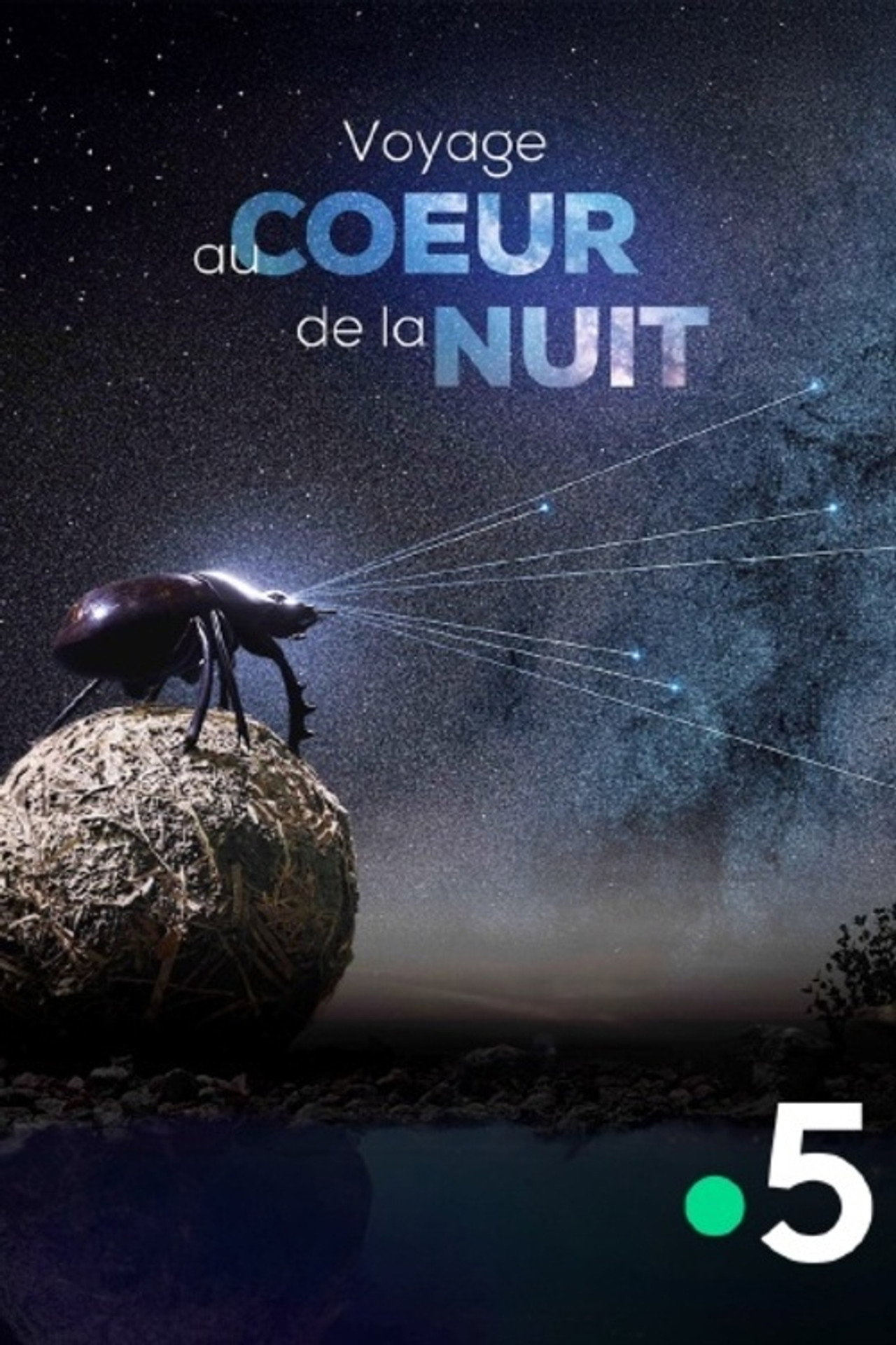Voyage Au Coeur De La Nuit filmaffisch