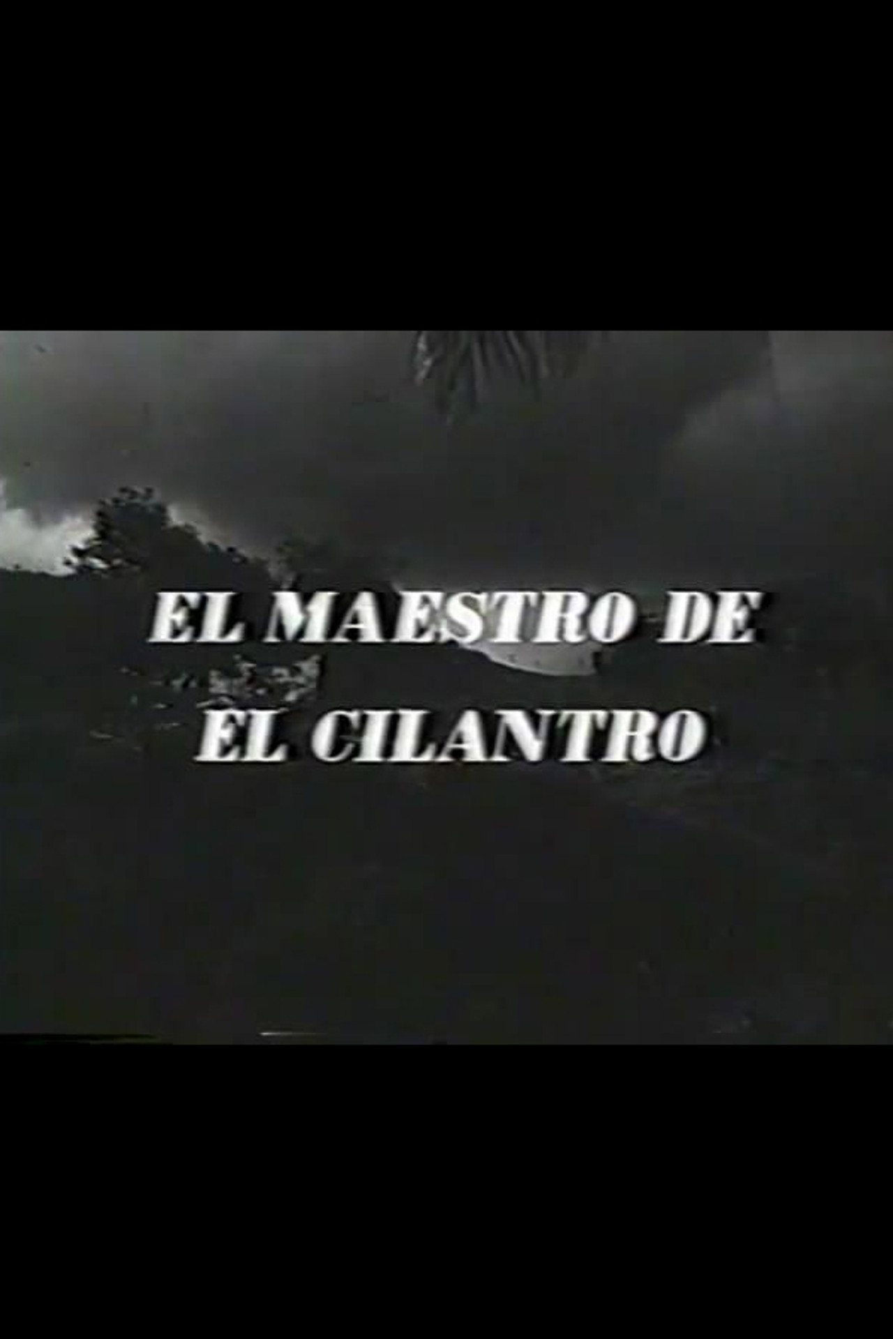 El maestro de El Cilantro filmaffisch