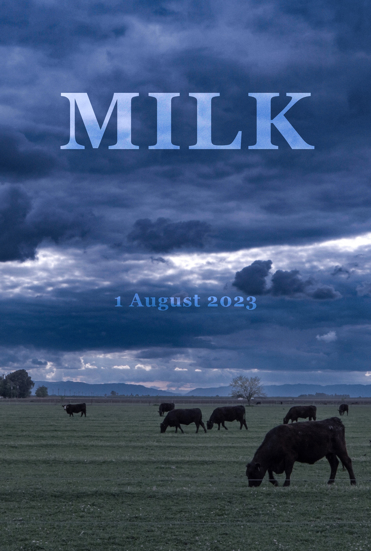 Milk filmaffisch