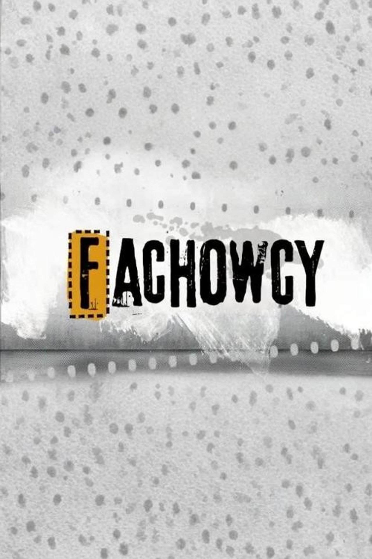 Fachowcy