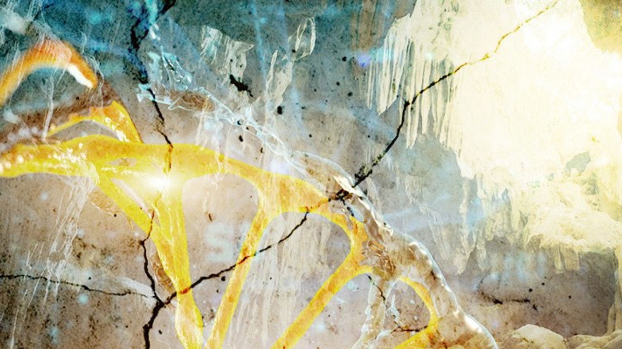 Anciennes Civilisations — Denisovans : Ils pourraient être des géants