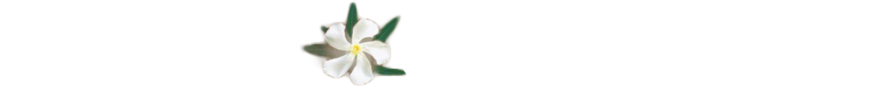Белый Олеандр