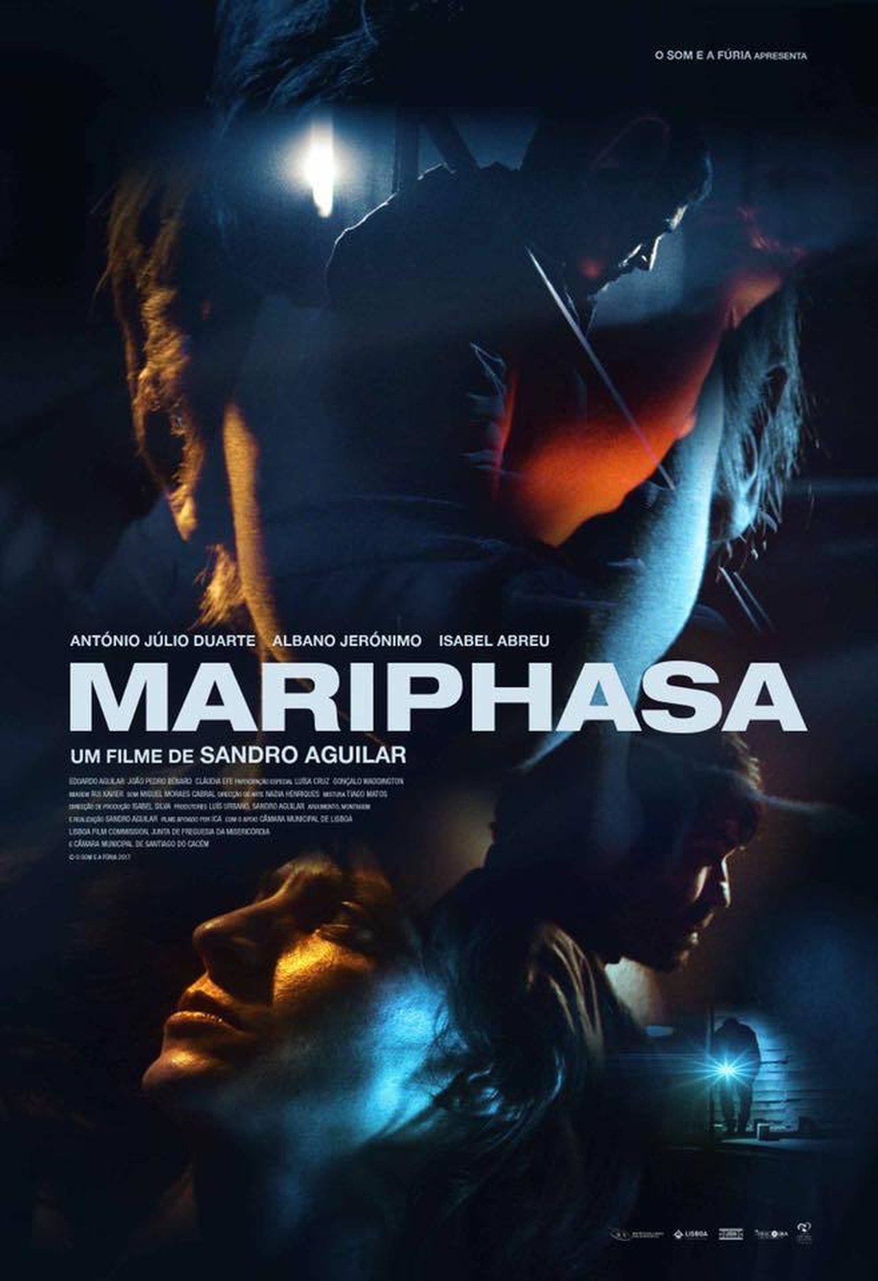 Mariphasa Mariphasa