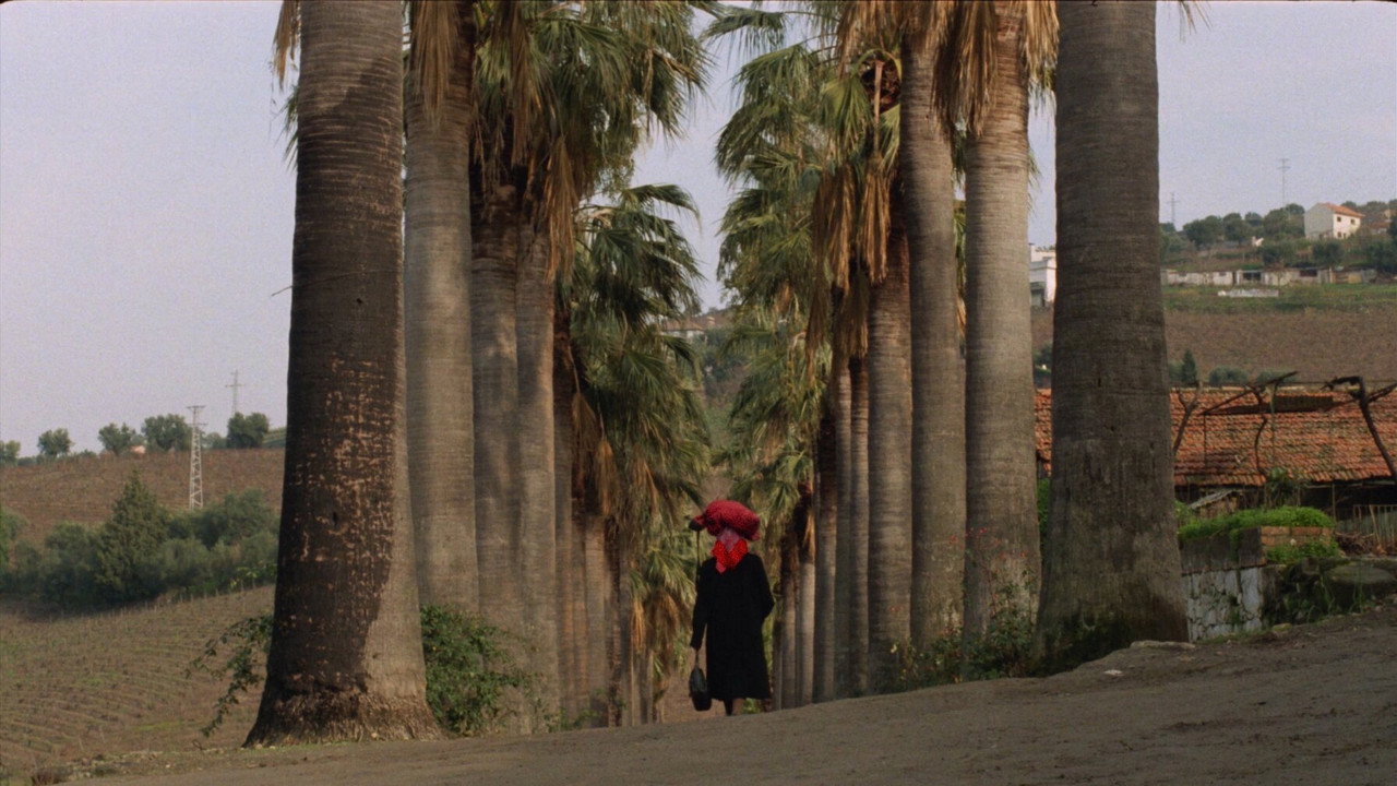 Galerie du film — 31